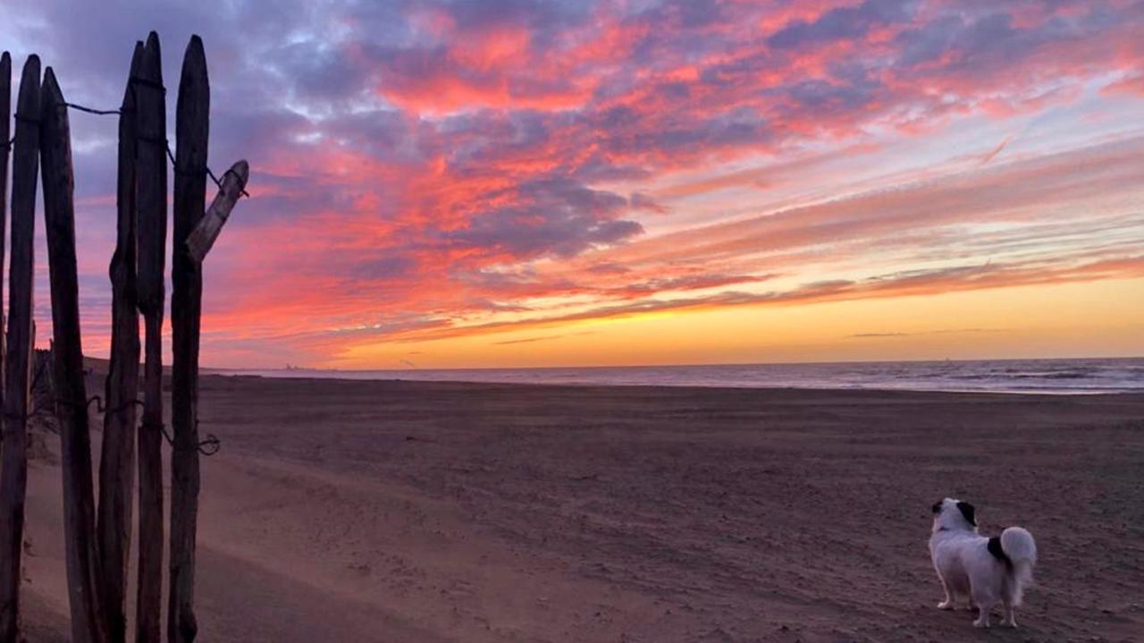 Beach House For You - Luxe Verblijf, 5 Min Van Het Strand カトウェイク・アーン・ゼー エクステリア 写真