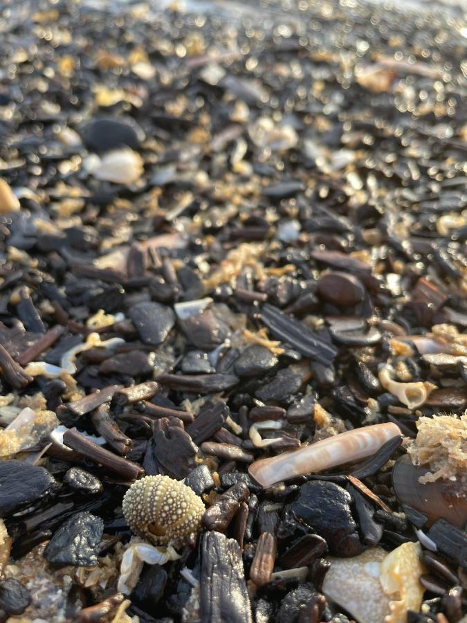 Beach House For You - Luxe Verblijf, 5 Min Van Het Strand カトウェイク・アーン・ゼー エクステリア 写真